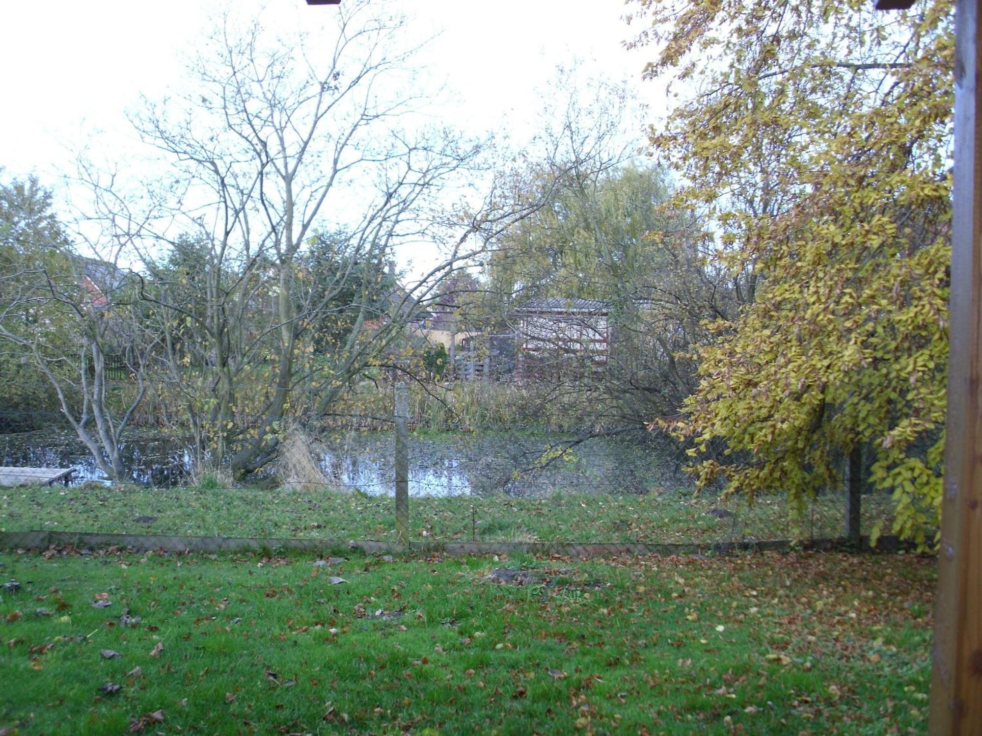 Child Friendly Bungalow In B Rgerende Rethwisch Borgerende-Rethwisch Bagian luar foto